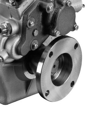 GIUNTO FLANGIA USCITA 5 TM 345