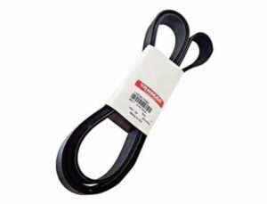 Cinghia Alternatore Multi Gola Yanmar Serie 8LV - Yanmar Multi-Groove Alternator Belt 119798-77350