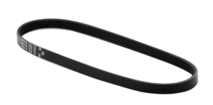 Cinghia Poly-V - Multi V-belt P4.17, P4.19 STM6528