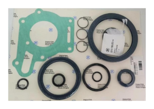 Kit Riparazione Guarnizioni ZF Trasmissioni - ZF Trasmissioni Repair Kit 3313199023