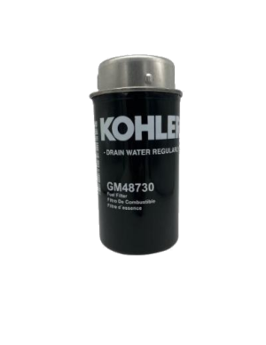 Filtro gasolio secondario