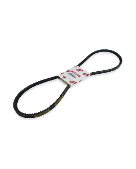 Cinghia Alternatore Yanmar Serie 6LY - Yanmar Alternator Belt 119593-42280