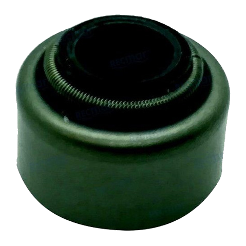 Paraolio Stelo Valvola - Valve Stem Seal L40AE 114250-11341