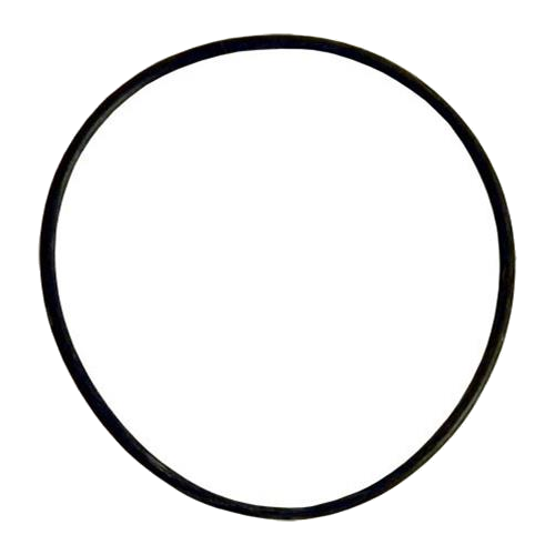 O-ring Coperchio Pompa Acqua Mare - O-ring 4LHA 119175-42570