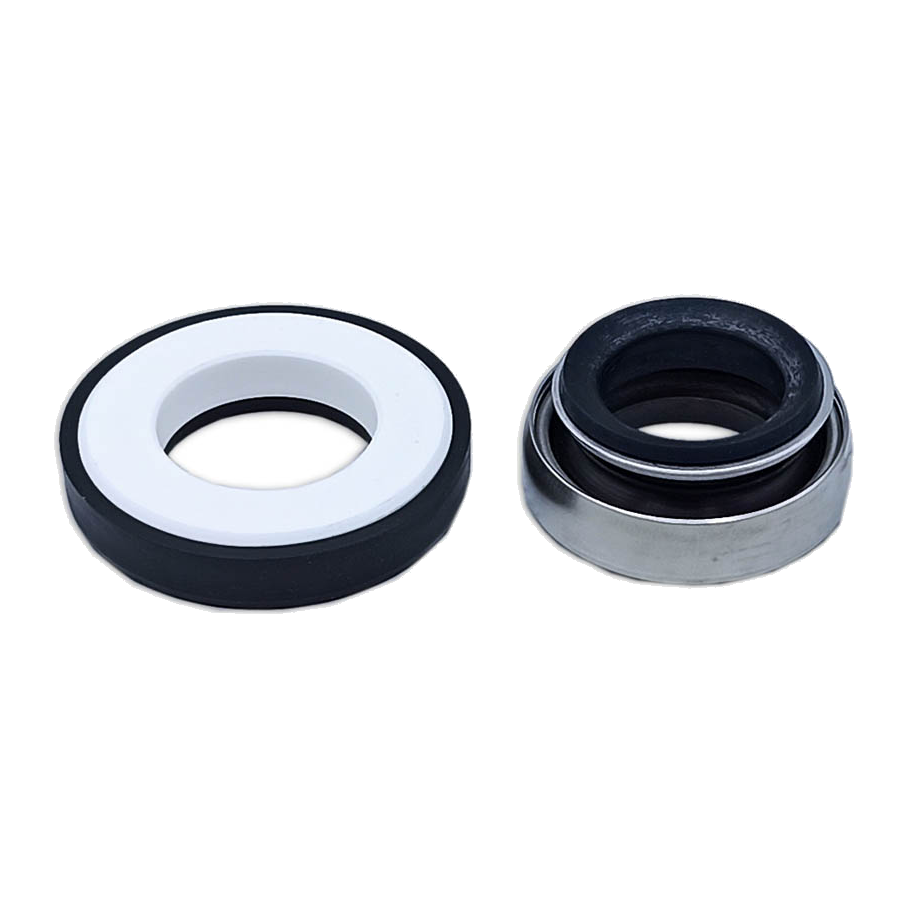 Tenuta Meccanica - Mechanical Seal 6LY3-ETP 119578-42600