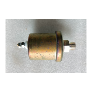Sensore Pressione Turbina - Boost Pressure Sender 119773-91301