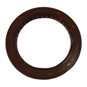 Paraolio - Oil Seal 1GM10 128176-02220