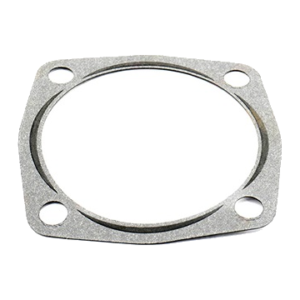 Guarnizione - Gasket JH 129150-01881