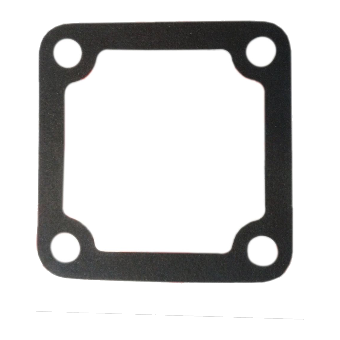 Guarnizione Collettore di Aspirazione - Gasket JH 129150-77511