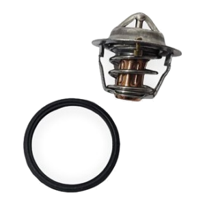 Termostato - Thermostat TNE 129350-49800