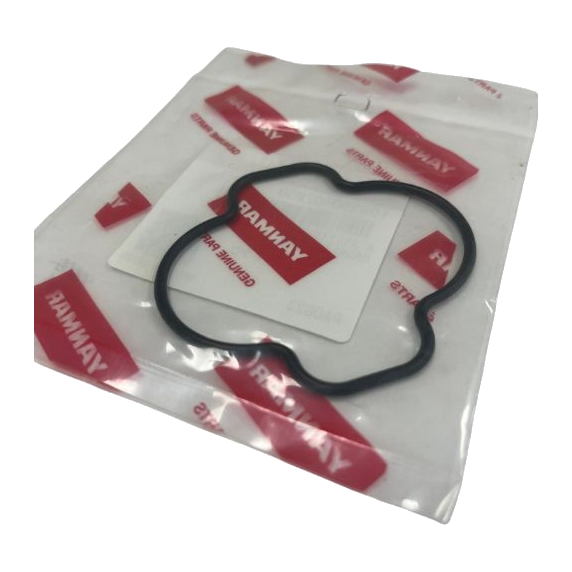 Guarnizione - Gasket ZT350 ZT370 196350-02850