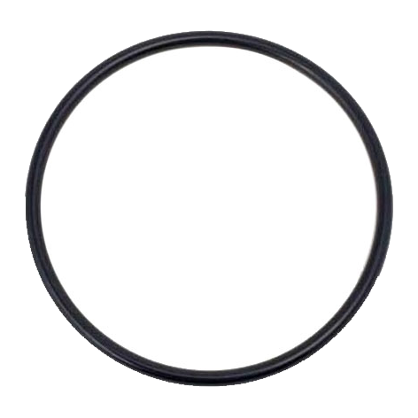O-ring - O-ring P-90 24311-000900